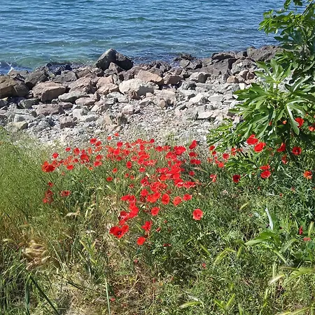 Lägenhet Nessebar, Studio,south Beach, Larisa