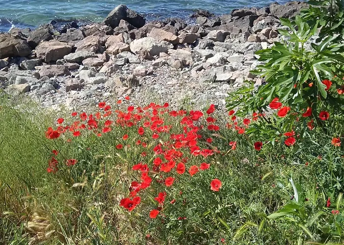 Apartment Nessebar, Studio,south Beach, Larisa